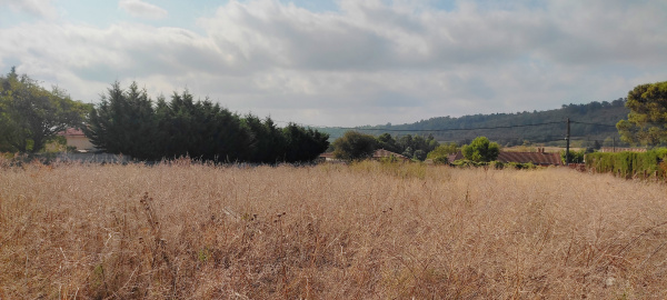 Offres de vente Terrain à batir Villegailhenc 11600