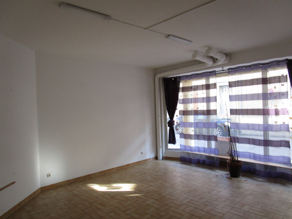 Location Immobilier Professionnel Local d'activité Carcassonne 11000